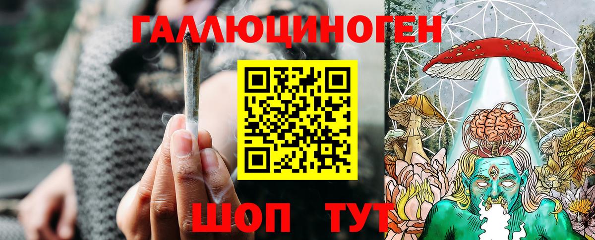 Галлюциногенные грибы Psilocybine cubensis  дарнет шоп  Псилоцибиновые грибы прущие грибы  Зеленодольск  Вход с VPN 
